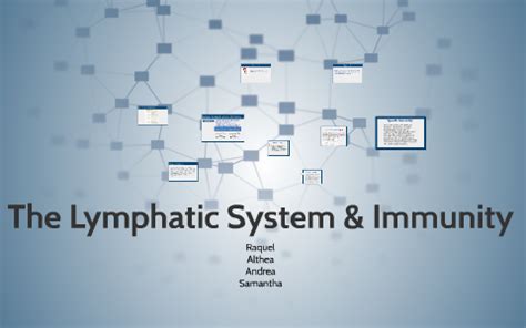 The Lymphatic System & Immunity by Samantha Presentation on Prezi