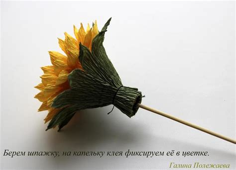 МК подсолнух — 6 ответов | форум Babyblog