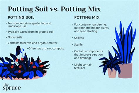 The Difference Between Potting Soil And Potting Mix