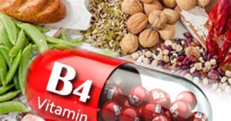 Витамин Б4 (Vitamin B4) » Холин » Топ цена