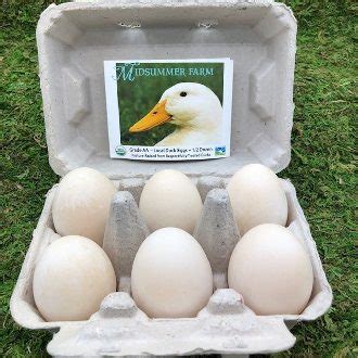 Eggs - Duck - 1/2 dozen - Midsummer Farm