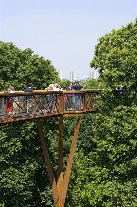 Kew Tree Top Walkway & Rhizotron / Marks Barfield Architects | ArchDaily