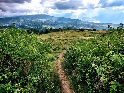 The Natural Wonders of Negros Island Explored