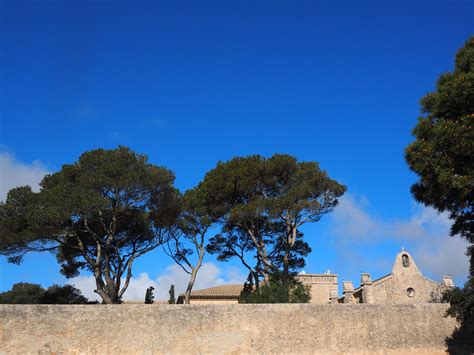 Free Images Landscape Tree Horizon Cloud Architecture Sky Hill