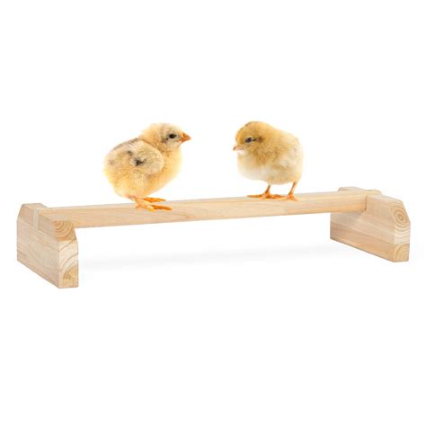 Tucker Murphy Pet™ Petersfield Chick Roosting Bars | Wayfair