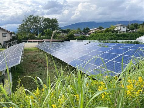 FIP制度の概要を紹介メリットやFIT制度との違いを分かりやすく解説 太陽光 再生可能エネルギー 株式会社グッドエナジー