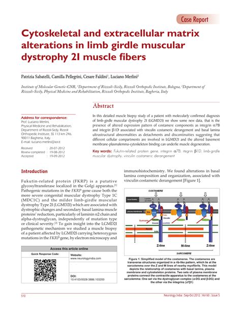 Pdf Cytoskeletal And Extracellular Matrix Alterations In Limb Girdle Muscular Dystrophy 2i