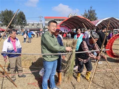 外埔無毒米食節 展示傳統倒吊曬稻法 生活 中時