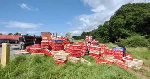 Jornal De Alagoas Caminh O Tomba E Parte De Carga De Frangos Vivos