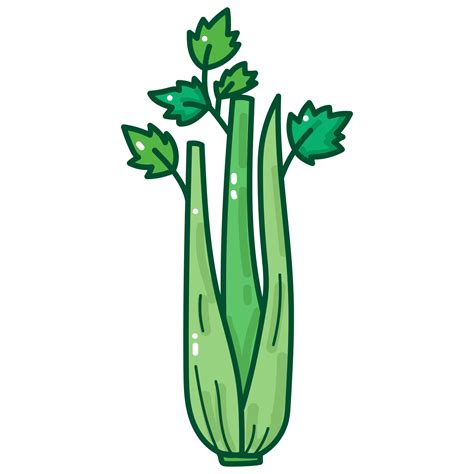 Celery Cartoon Doodle 39095819 Png