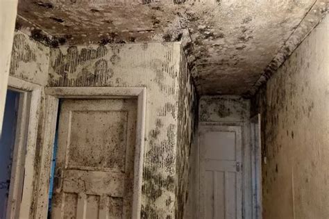 "As soon as I stepped into my friend's home - I knew she had to get out