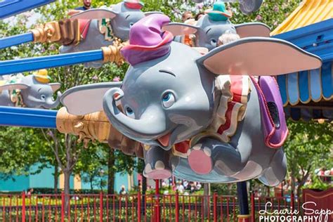 Flying High: 5 Dumbo Ride Facts that Might Surprise You