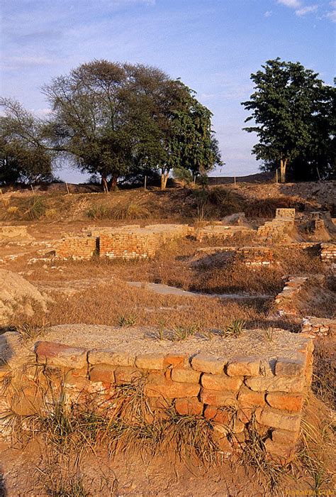 Inside The Granary Mound F Harappa Harappa