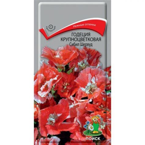 Годеция Сибил Шервуд крупноцветковая Поиск 0,2г Агрофирма Поиск купить ...