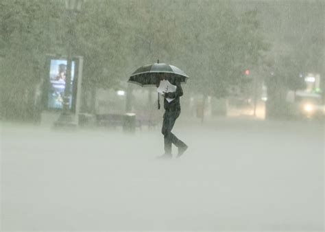 118 Viviendas Afectadas Y 590 Desplazados Por Lluvias