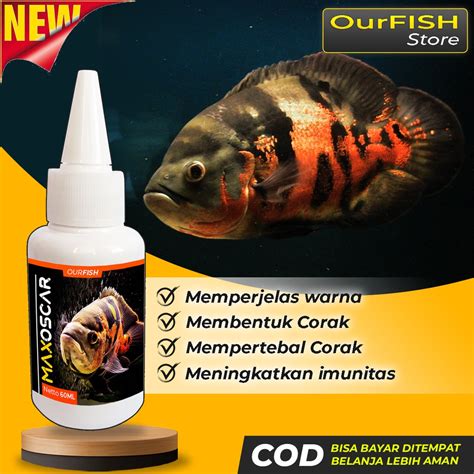 Jual Obat Mutasi Ikan Oscar Max Oscar Vitamin Ikan Oscar Tiger Batik