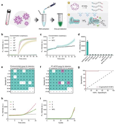 Development Of Photocontrolled One‐pot Rt‐rpa‐crispr‐cas12a Assay For