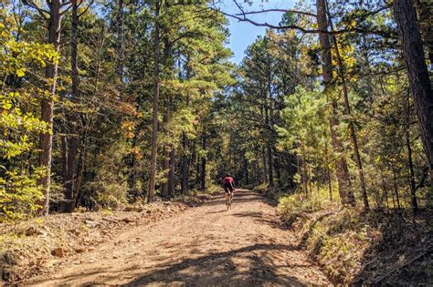 Kenda Flintridge Pro 650b x 45 Gravel Tire Review — Gravelstoke