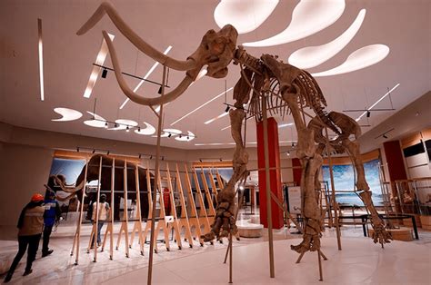 Museo Paleontol Gico De Santa Luc A Quinametzin Museos M Xico