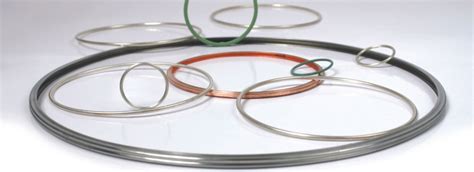 Metal Sealing Rings Fluorocarbon