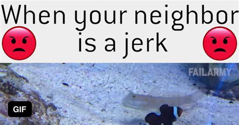 Jerk Neighbor 9gag