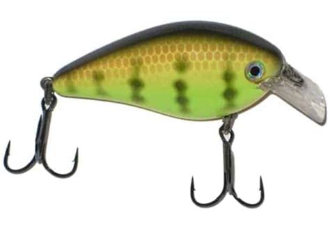 8 White Bass Lures Guaranteed To Get More Bites • Panfish Nation