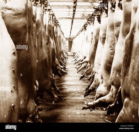 Abattoir De Chicago Banque De Photographies Et Dimages Haute