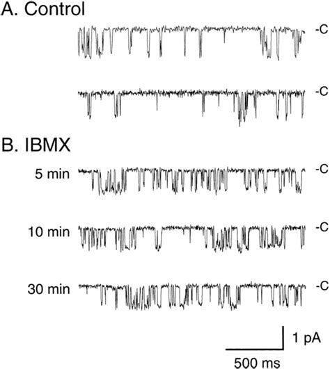 Single Channel Currents These Currents Were Obtained From A