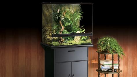 Exo Terra Terrarium Rainforest Habitat Kit Medium Tall X X Cm