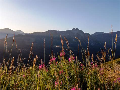 Nendaz Luxury Chalets Switzerland Resorts - Alps In Luxury