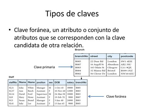 Clave For Nea En Base De Datos Relacional Vidabytes Vidabytes