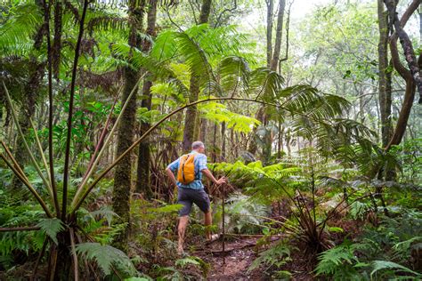 Hiking in Lanai that May Lead to Spectacular Hawaiian Views