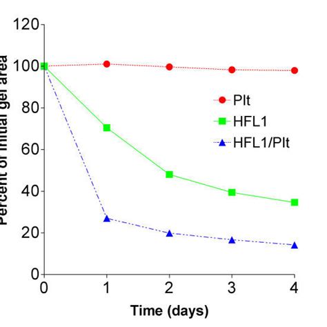 Time Dependent Augmentation Of Fibroblast Mediated Collagen Gel