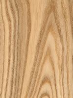 Black Ash | The Wood Database (Hardwood)