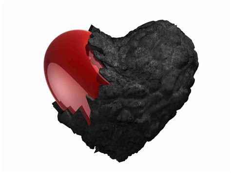 Purification Of The Heart Signs Symptoms And Cures Of The Spiritual Diseases Of The Heart 14