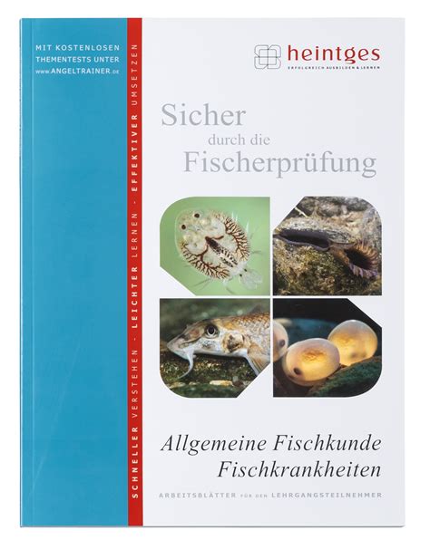 Allgemeine Fischkunde Und Fischkrankheiten Heintges Sicher Durch