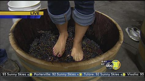 Annual Grape Stomp Creates A Party Out Of A Job Abc30 Fresno