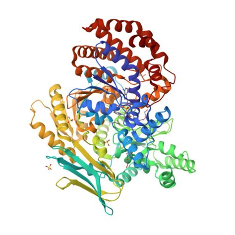 RCSB PDB 7Y1U Crystal Structure Of Isocitrate Dehydrogenase From