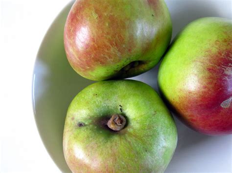 Toffee Apple Muffins | The Grazer