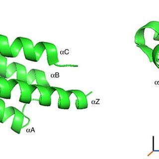 Structure Of The First Brd Module Of Brd Pdb Id Dww The Four Brd