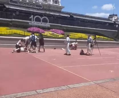 Fam Lias Trocam Socos Por Causa De Foto Em Parque Da Disney Assista