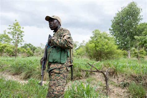 Chad rangers battle to protect park from poachers, local farmers