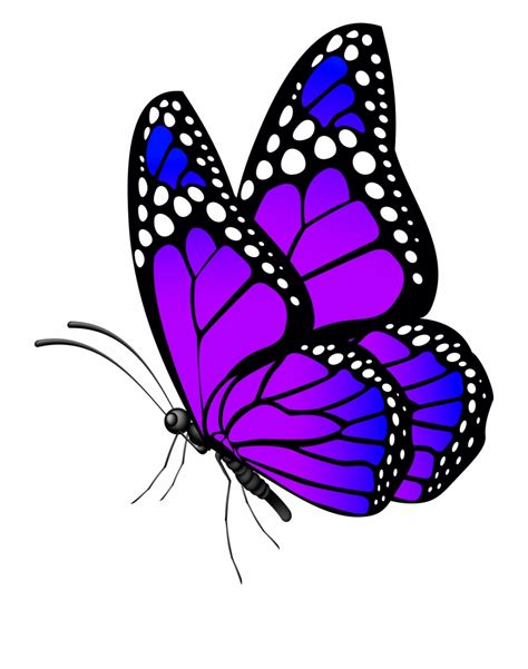 Purple Monarch Butterfly Clip Art Hot Sex Picture 1960 | The Best Porn