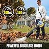 Amazon Somorei Cordless Leaf Blower Cfm Brushless Electric