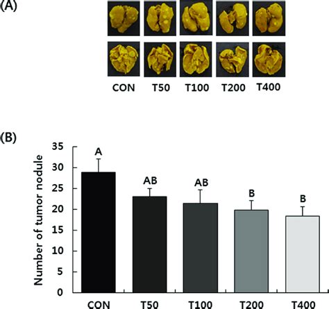 Oral Administration Of Tvse Inhibits The Lung Metastasis Of 4t1 Cells