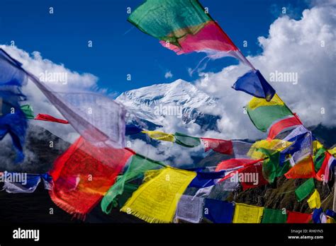 Colorful Buddhist Prayer Flags At Thorong Phedi High Camp The Snow