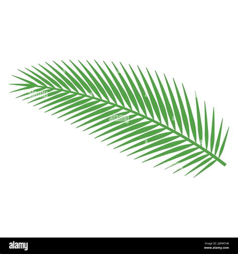 Cute Of Palm Leaf On Cartoon Version Vector Illustration Stock Vector