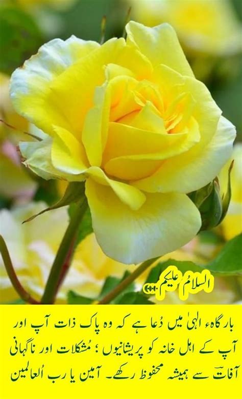 Pin By Shabbir Ahmad On Urdu Morning In 2024 Good Morning Images