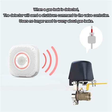 Wifi Smart Lpg Natural Gas Leak Detector Sensor Protect Home