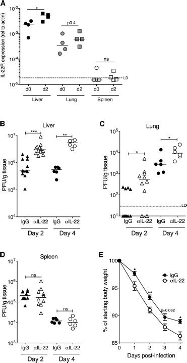 IL 22 Limits Acute MCMV Replication In A Tissue Restricted Manner